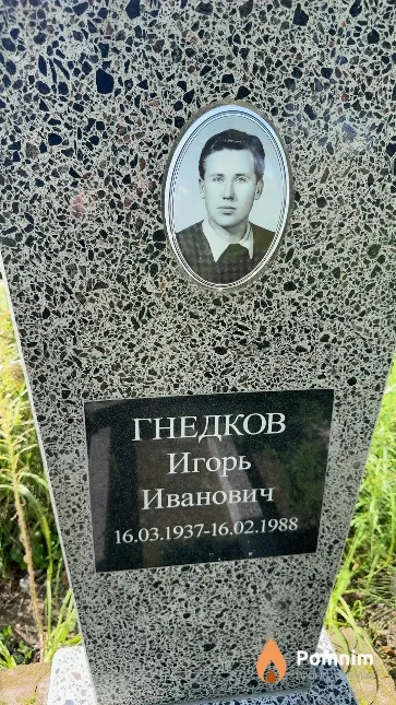 Гнедков Игорь Иванович