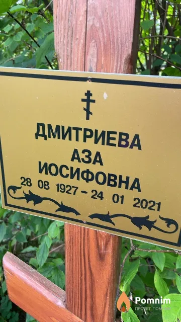 Дмитриева Аза Иосифовна