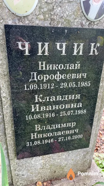 Чичик Владимир Николаевич