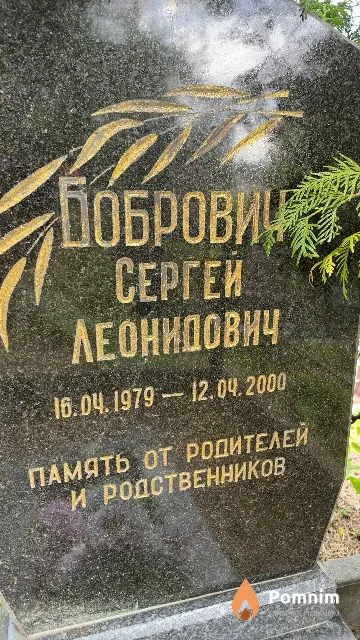 Бобрович Сергей Леонидович