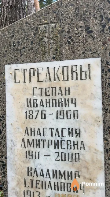 Стрелкова Анастасия Дмитриевна