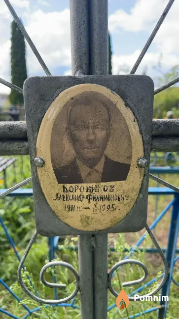 Боровиков Александр Филимонович