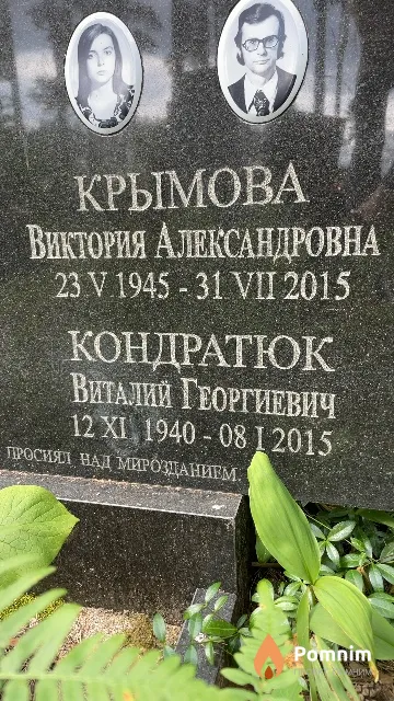 Кондратюк Александр Георгиевич