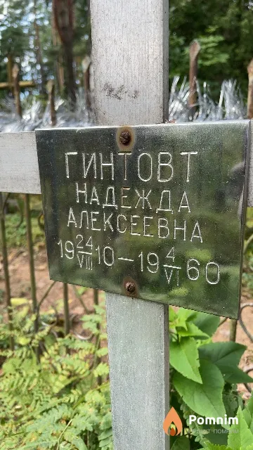 Гинтовт Надежда Алексеевна
