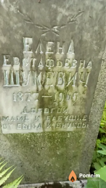 Шукевич Елена Естафьева