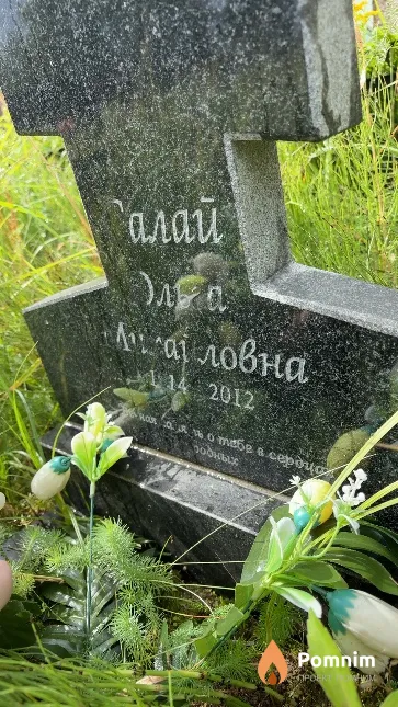 Салай Ольга Михайловна