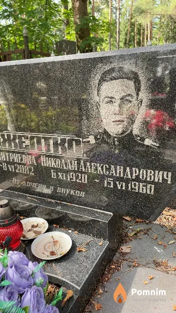 Желтко Николай Александрович