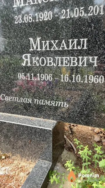 Чиж Михаил Яковлевич