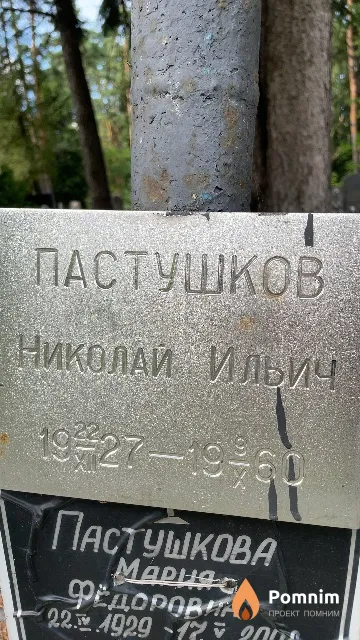 Пастушков Николай Ильич