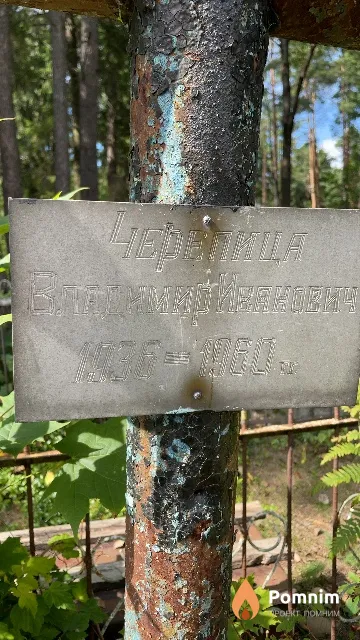 Черепица Владимир Иванович