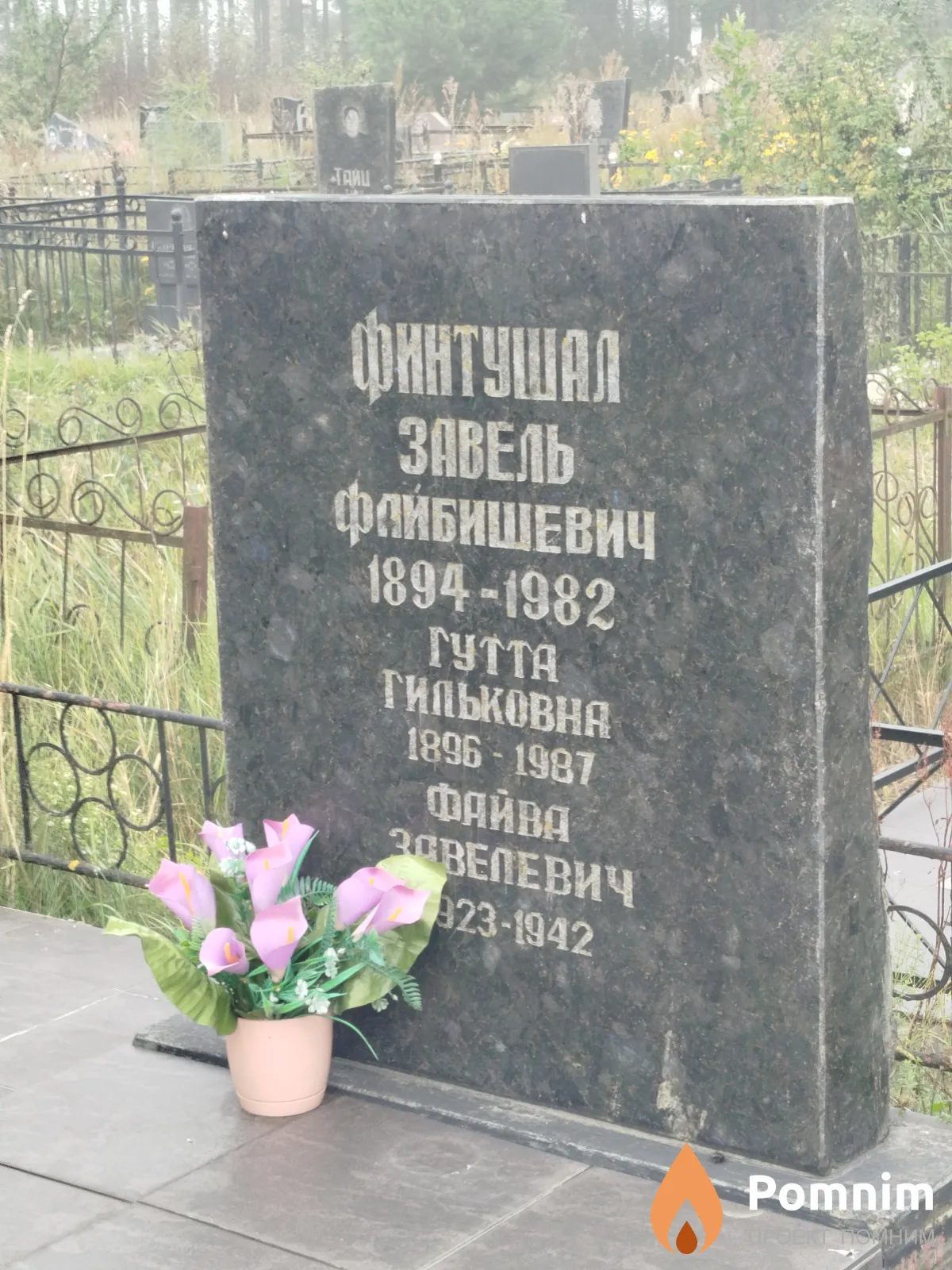 Финтушал Файва Завелевич