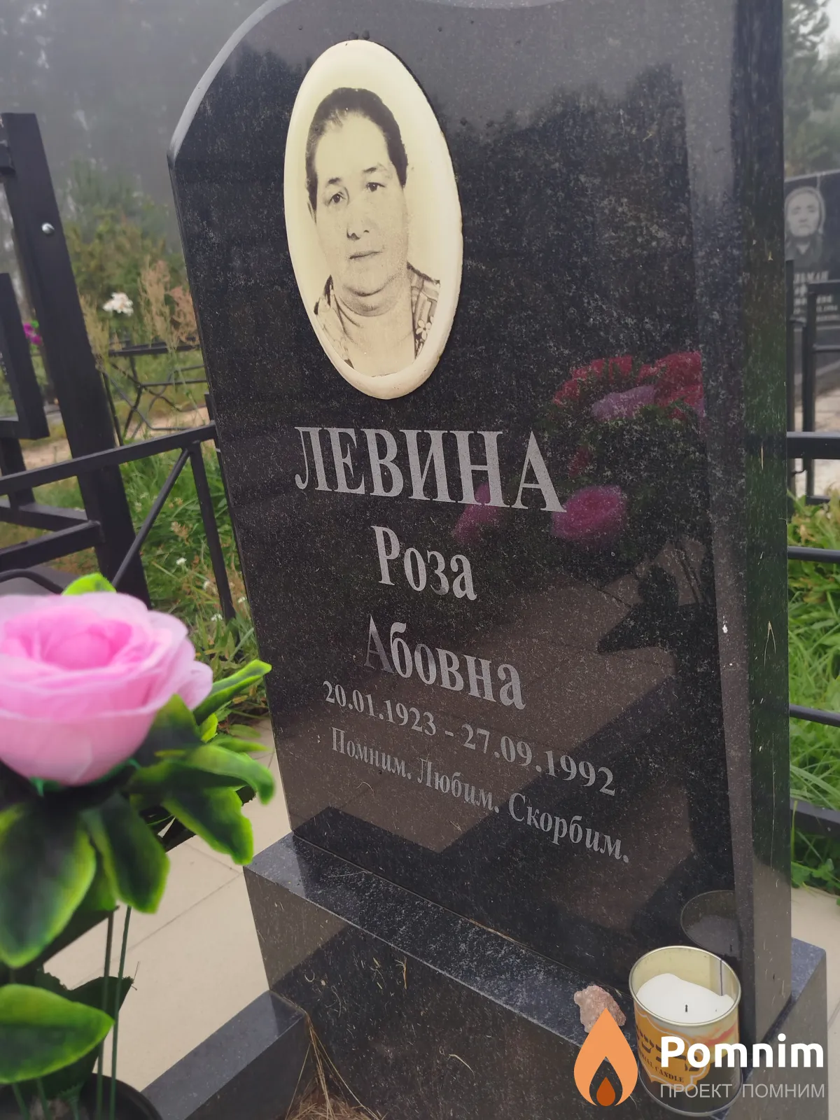 Левина Роза Абовна