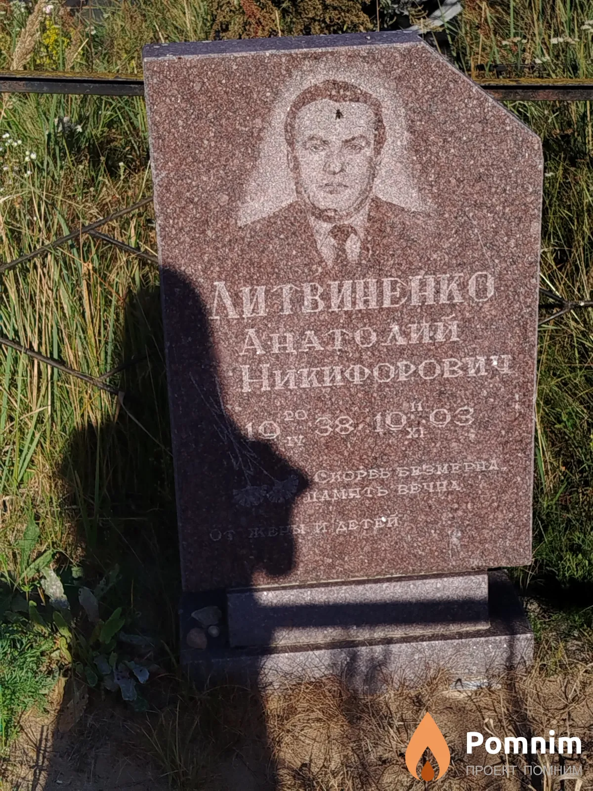 Литвиненко Анатолий Никифорович