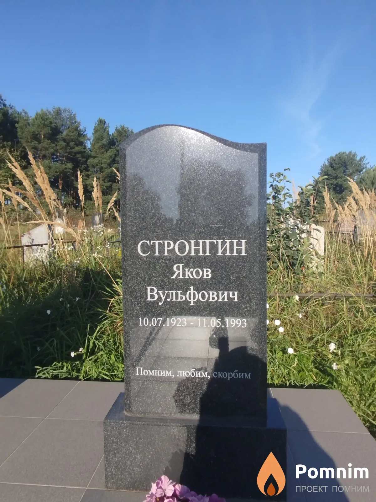 Стронгин Яков Вульфович
