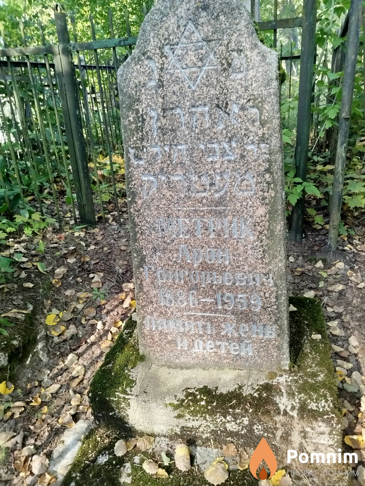 Метрик Арон Григорьевич