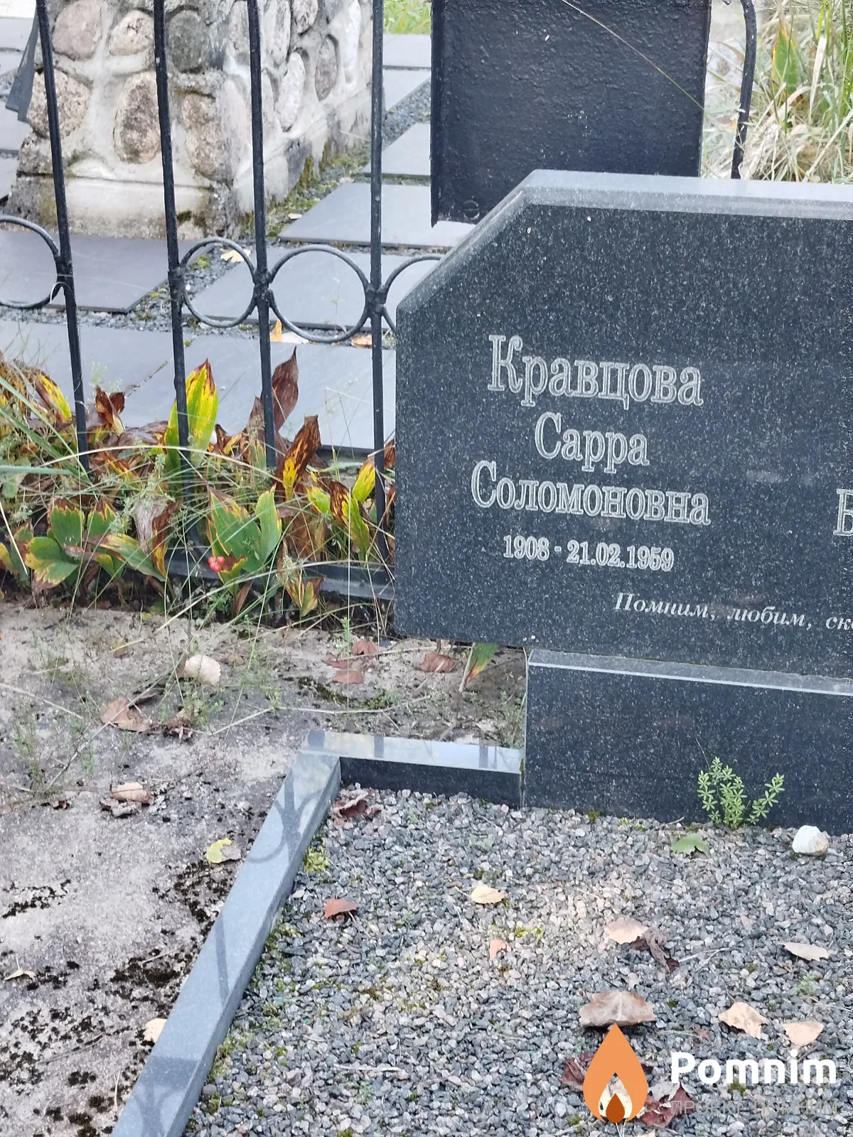 Кравцова Cappa Соломоновна