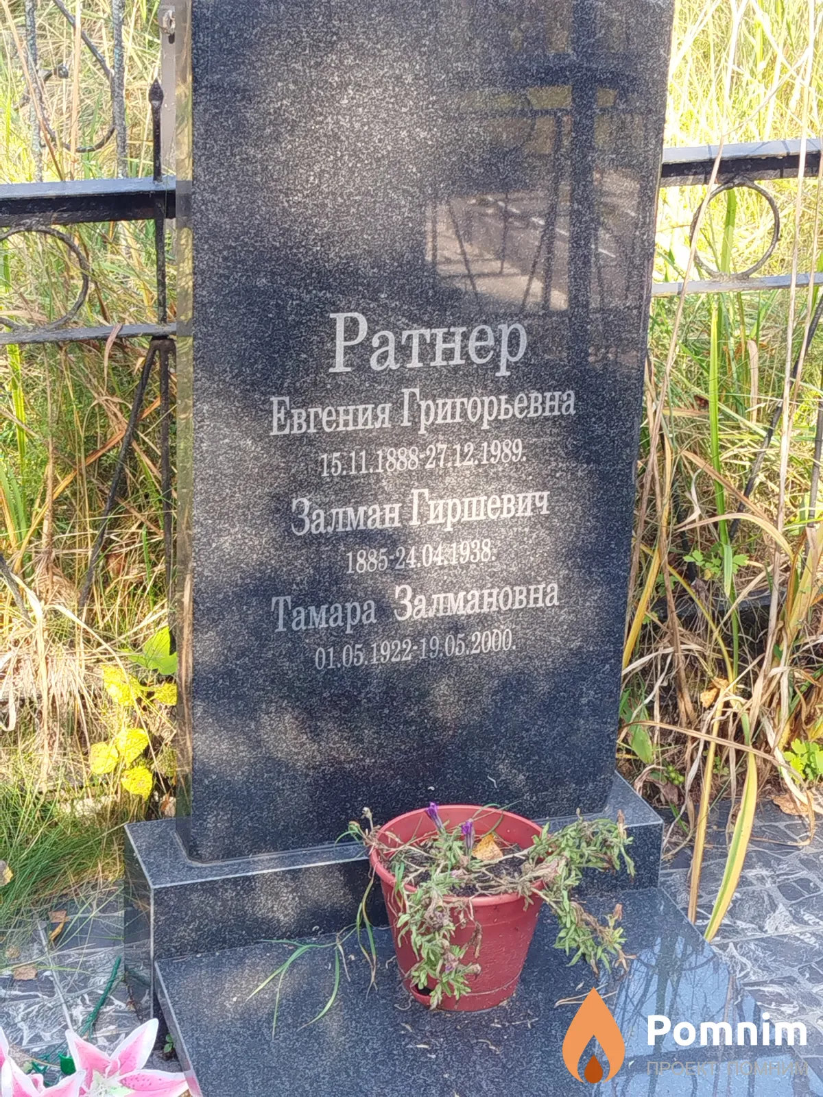 Ратнер Тамара Залмановна