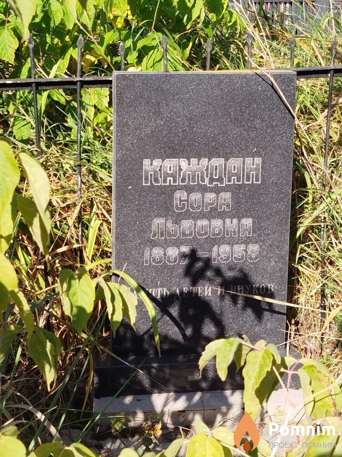 Kaждан Copa Львовна