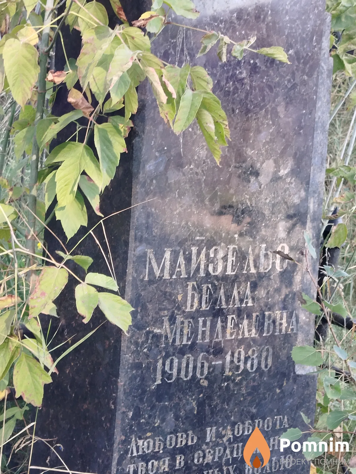 Майзельс Белла Meнделевна