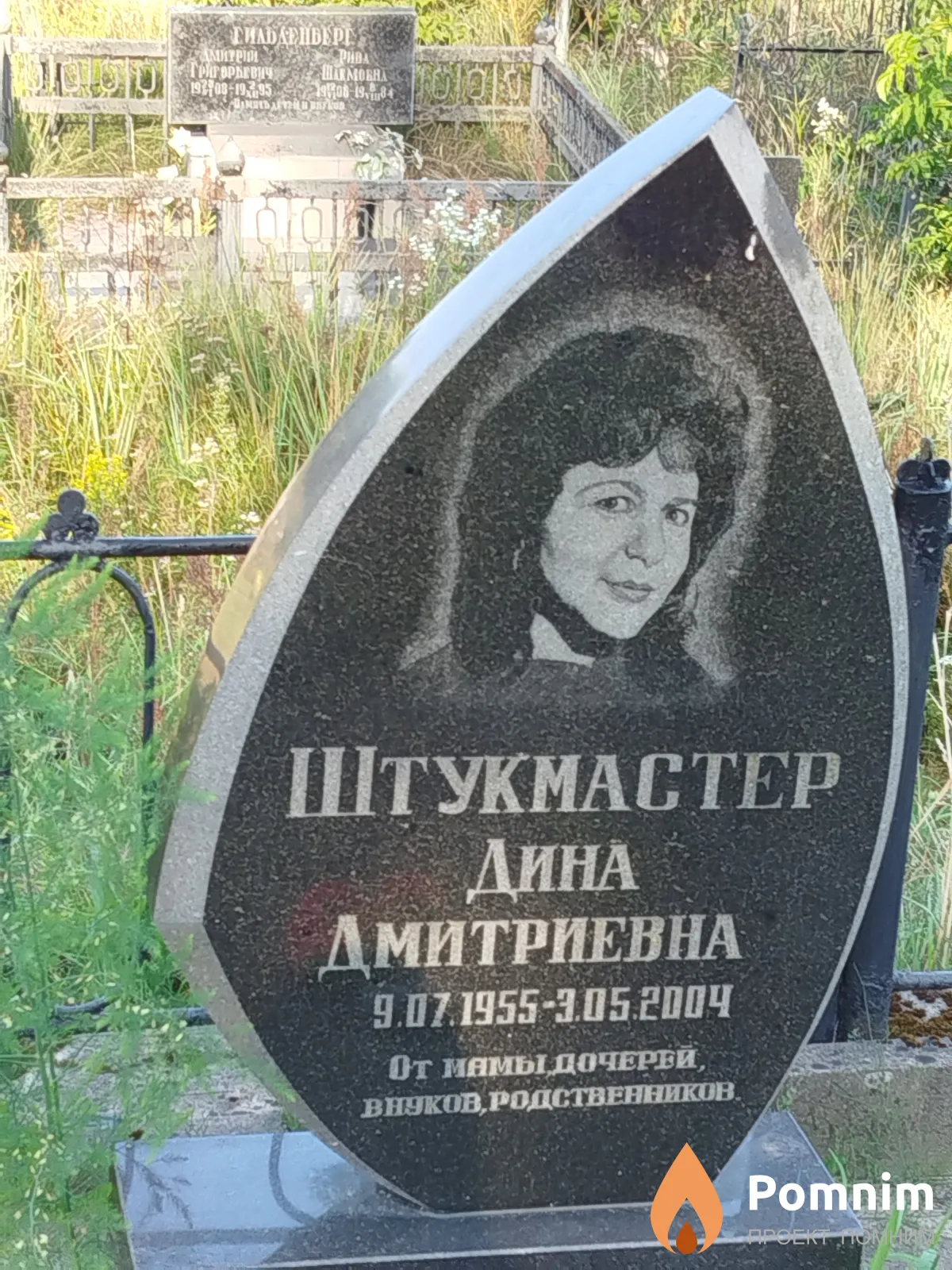 Штукмастер Дина Дмитриевна