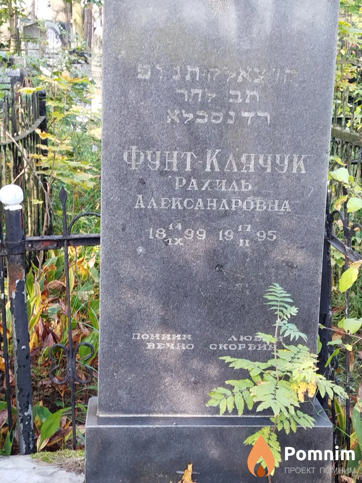 Фунт-Клячук Рахиль Александровна