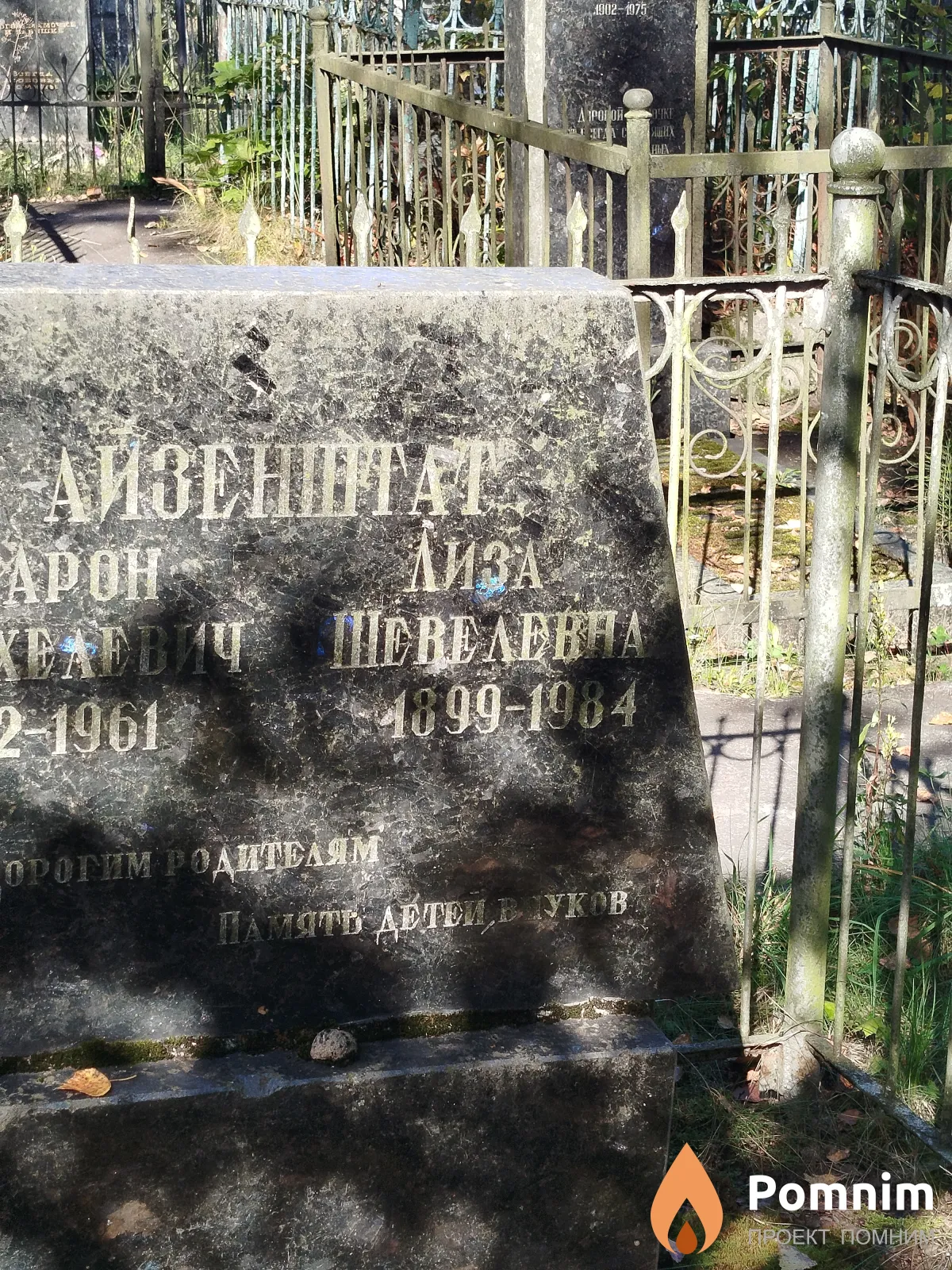 Айзенштат Лиза Шевелевна