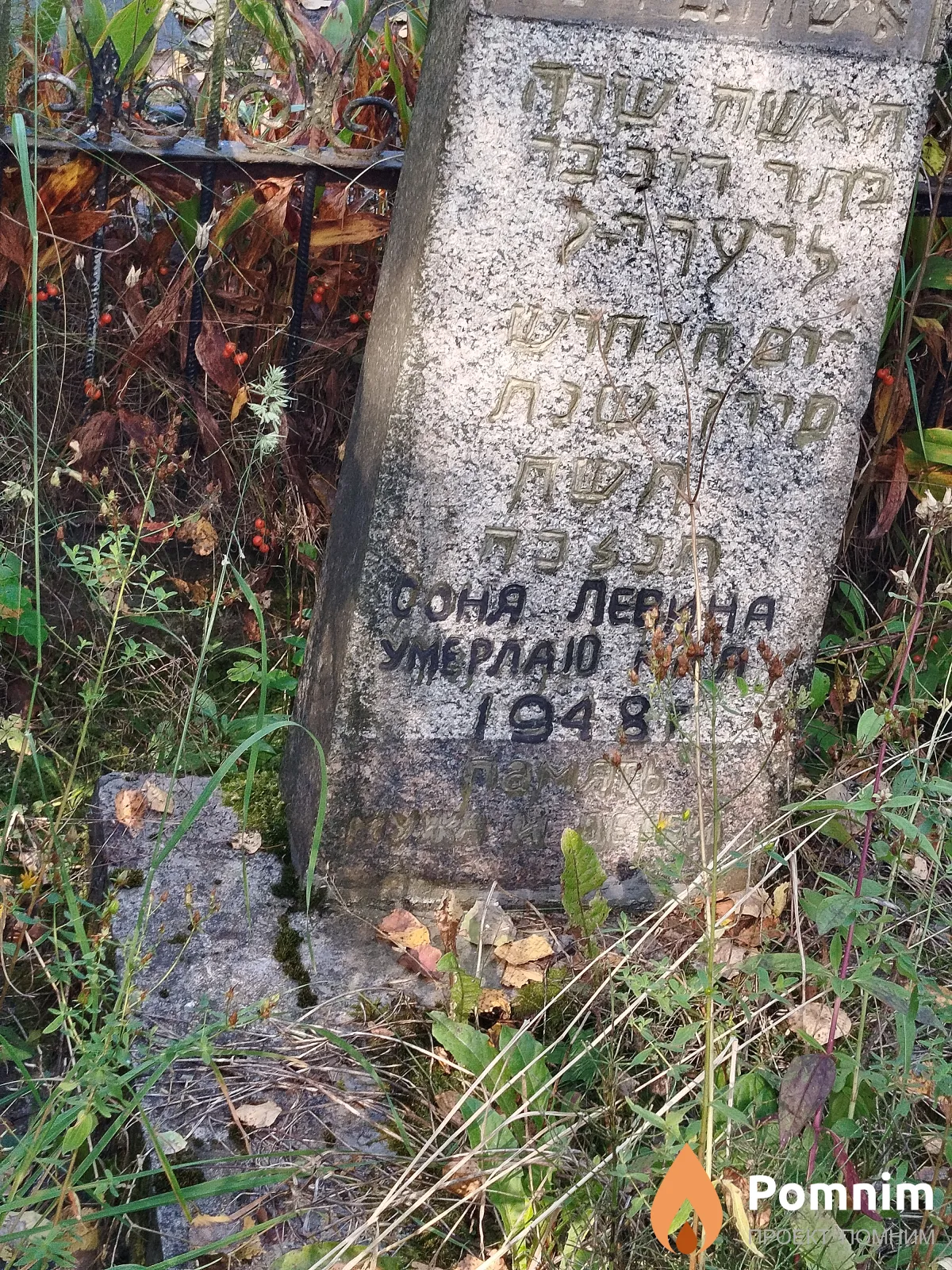 Левина Соня