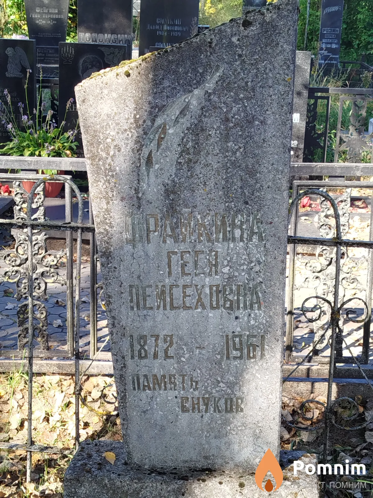 Фрайкина Гейся Пейсеховна