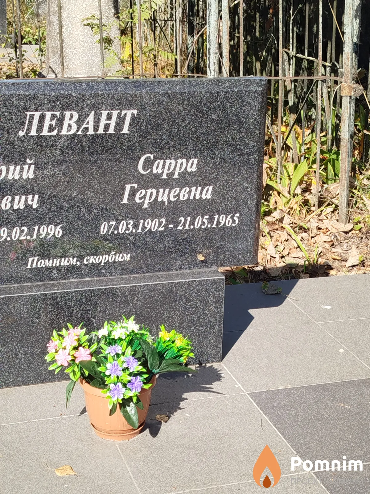 Левант Сарра Герцевна