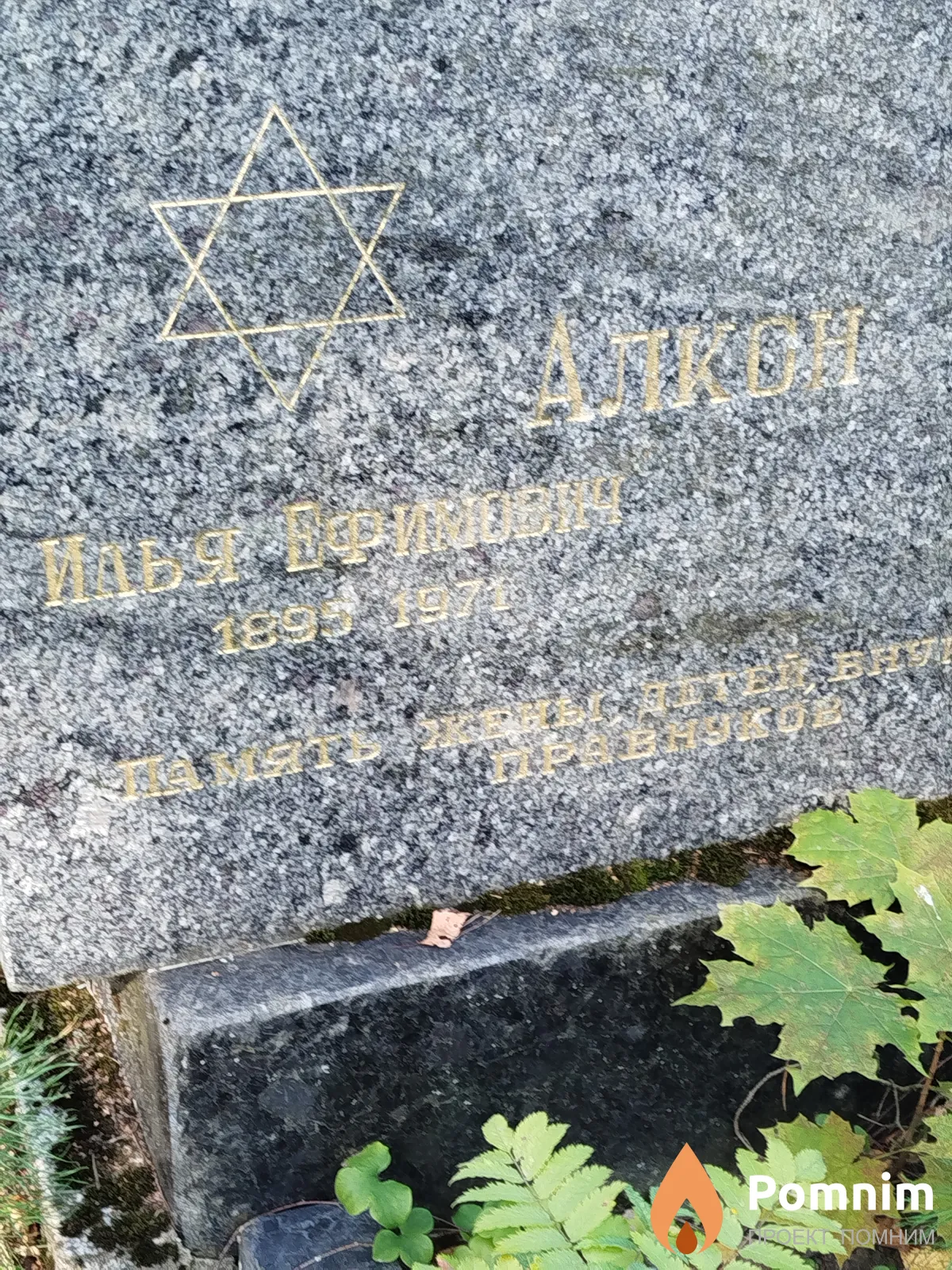 Алкон Илья Ефимович
