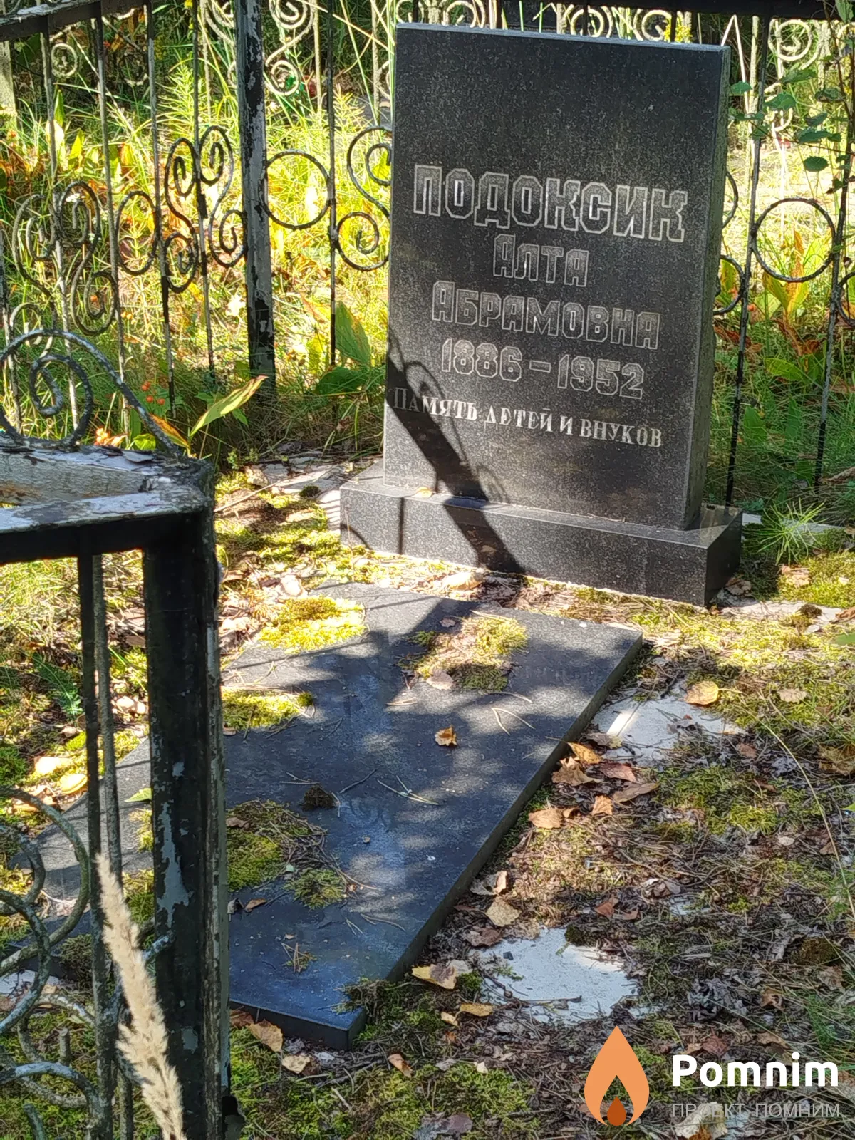 Подоксик Алта Абрамовна