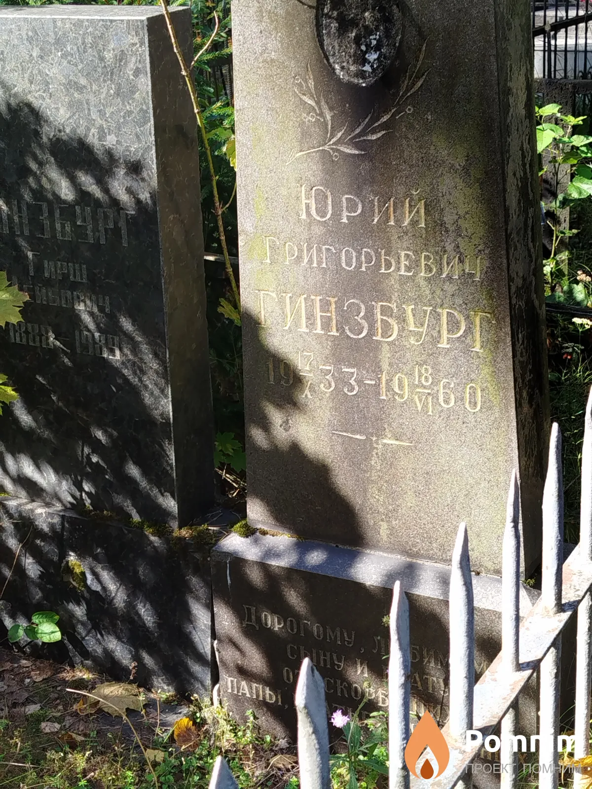 Гинзбург Юрий Григорьевич