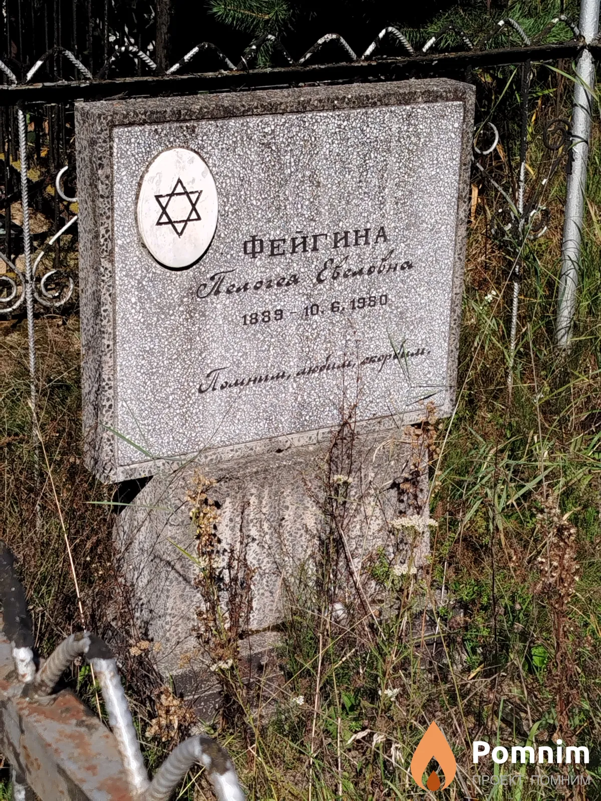 Фейгина Пелогея Евеловна