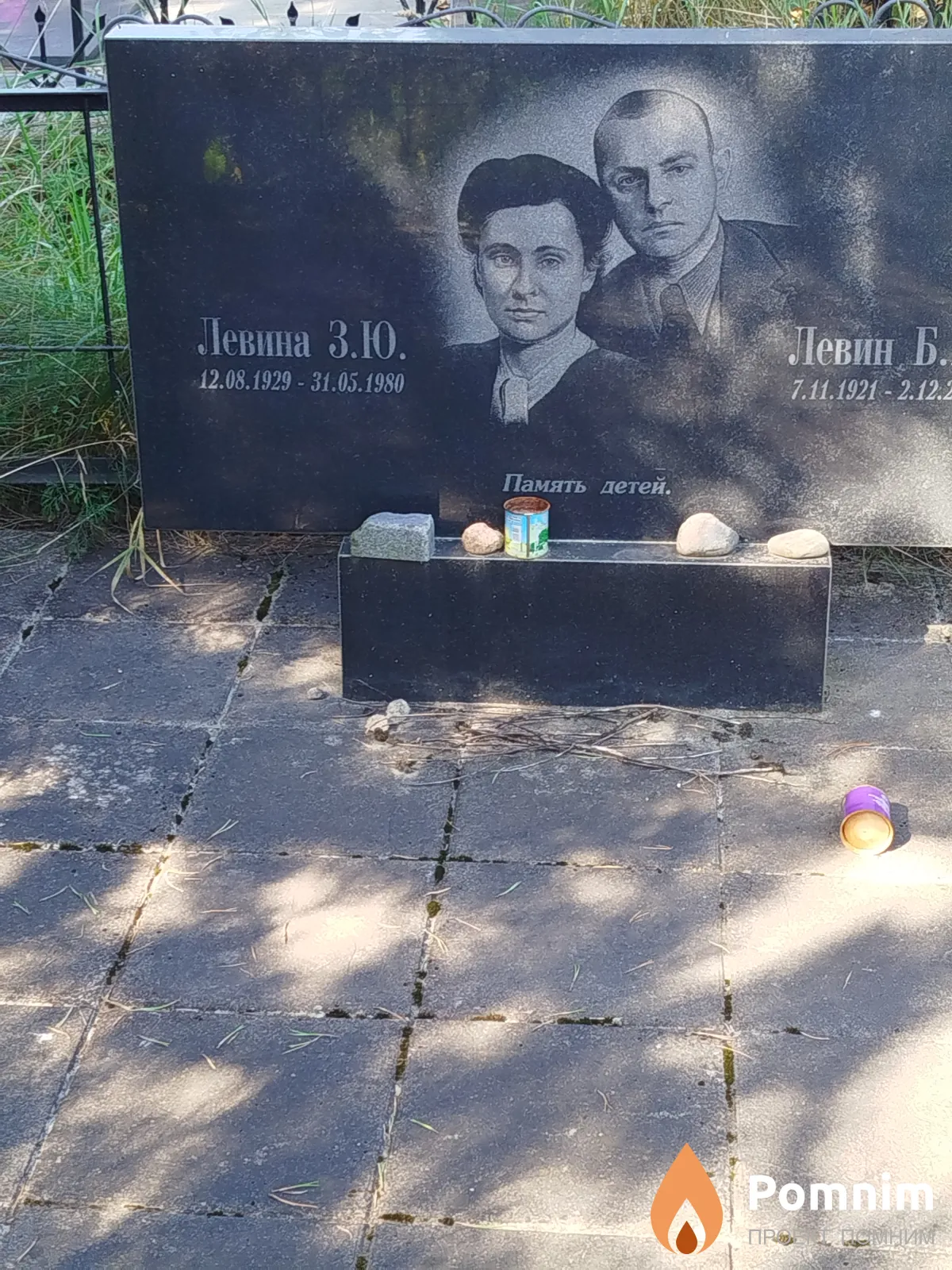 Левина З. Ю.