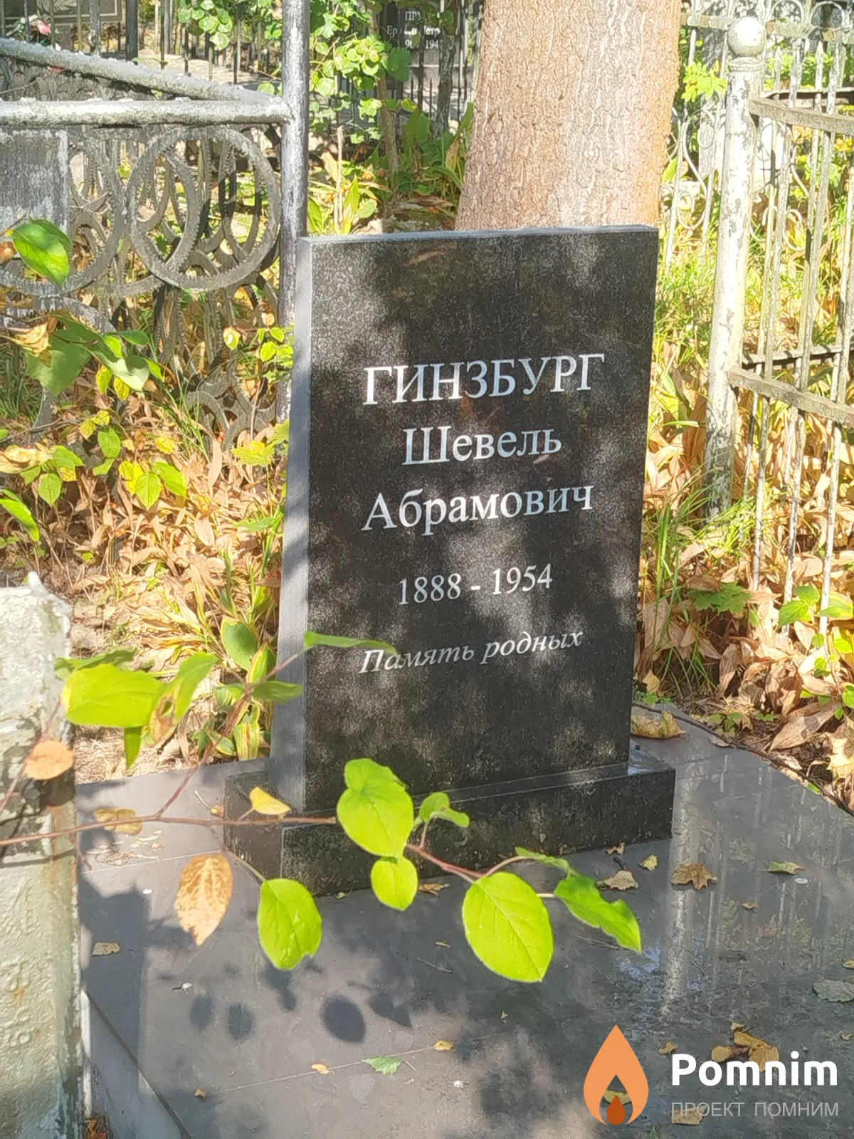 Гинзбург Шевель Абрамович