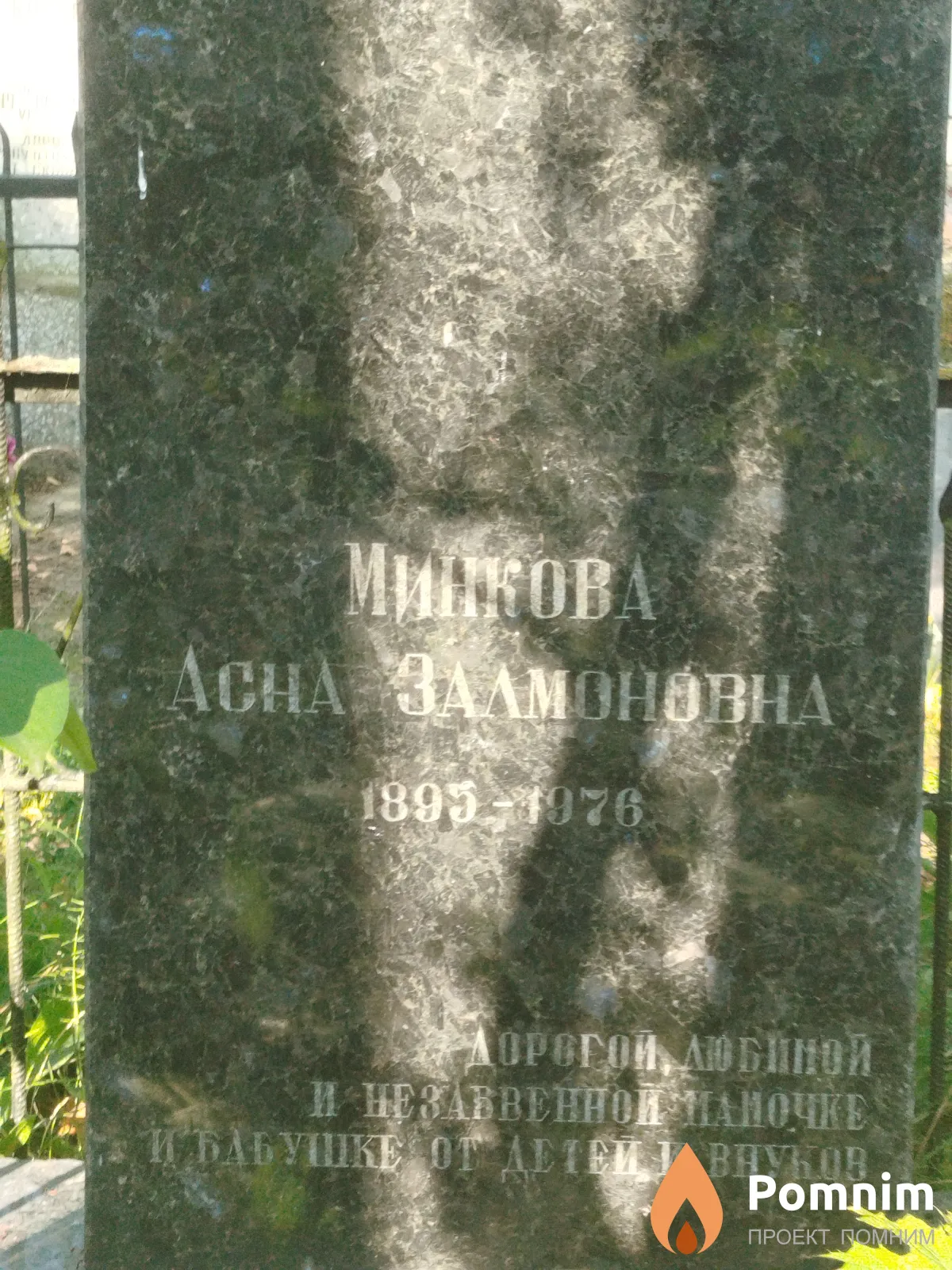 Минкова Аcна Залмоновна