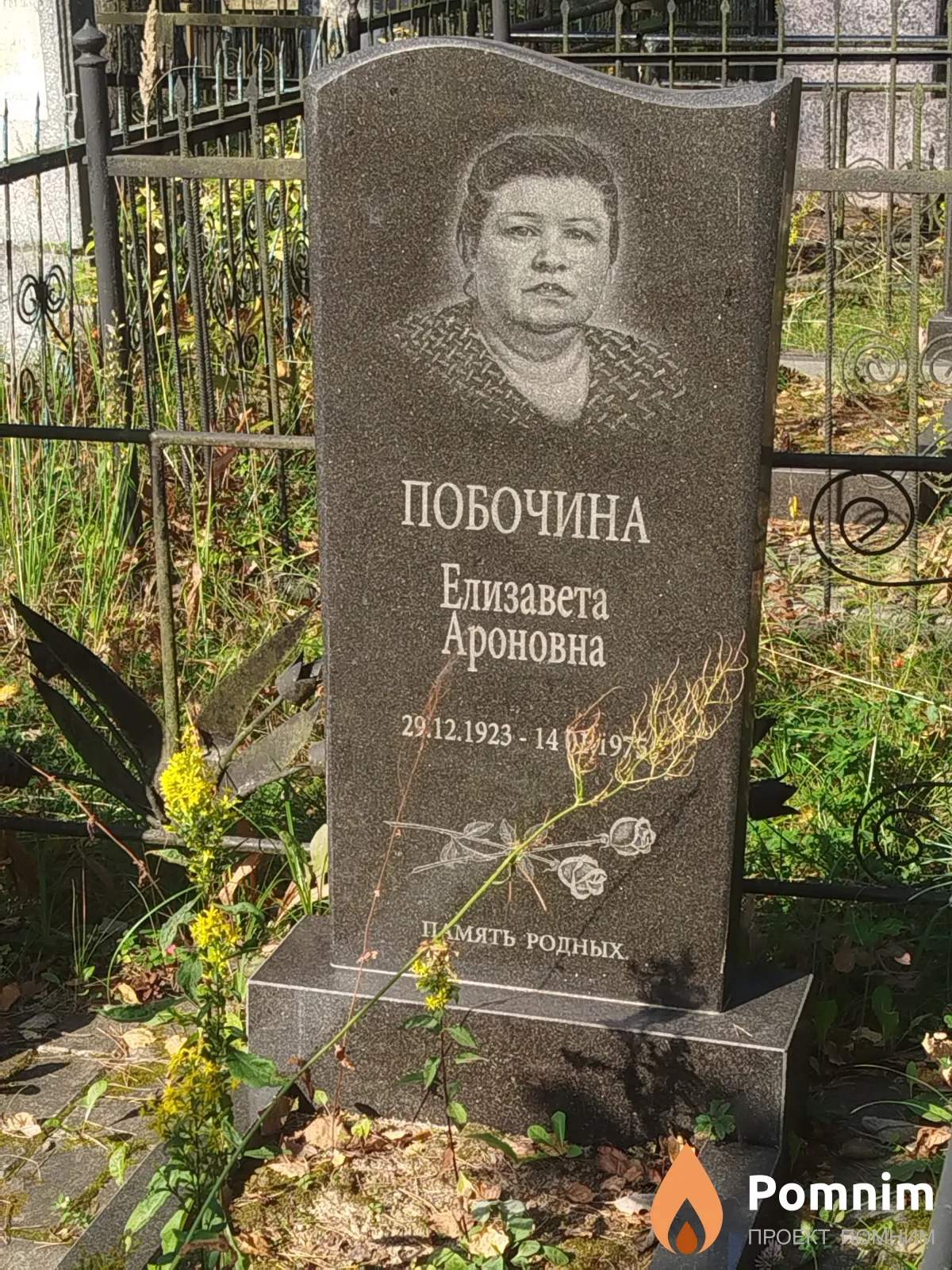 Побочина Елизавета Ароновна