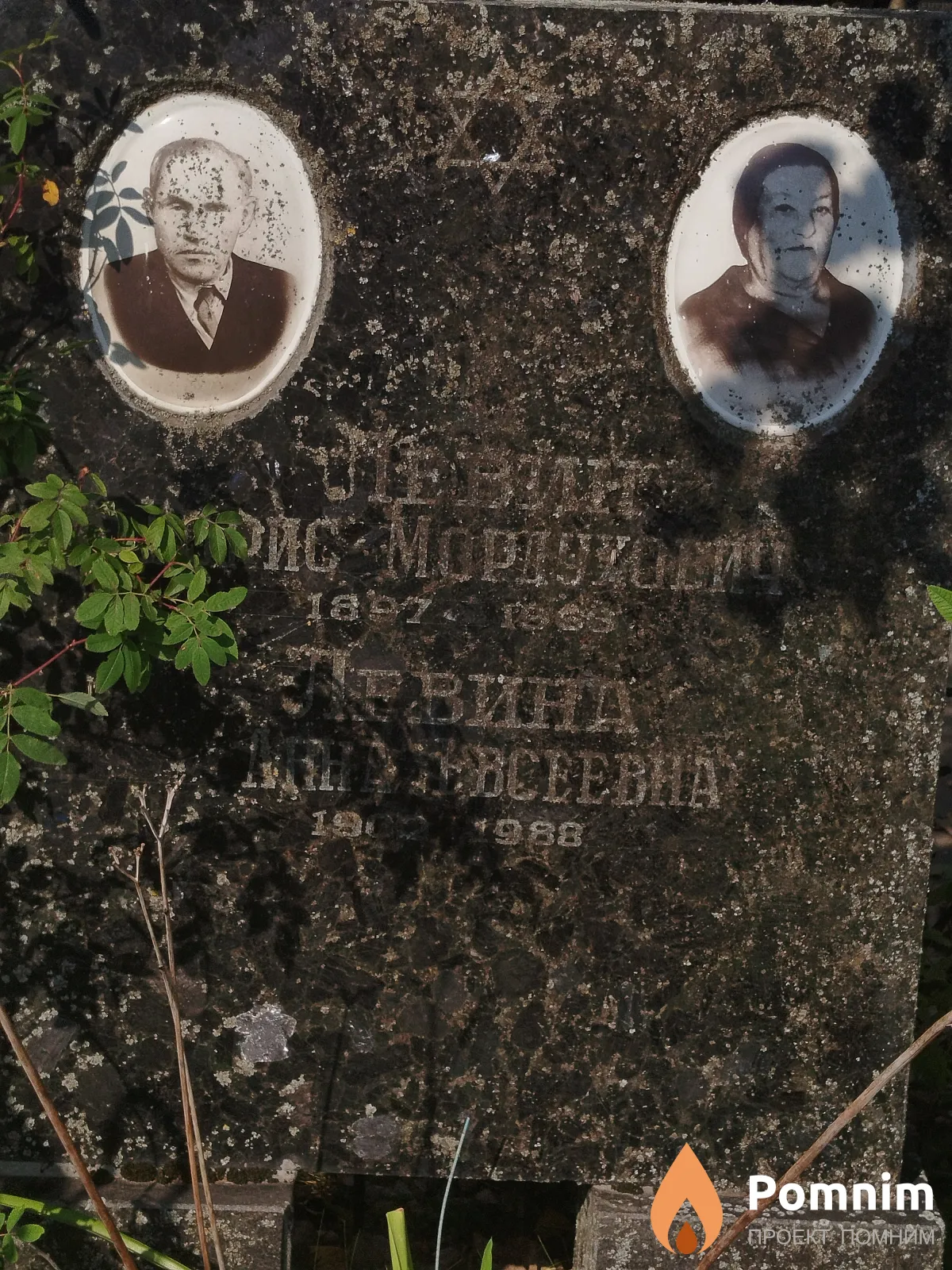 Левина Анна Евсеевна