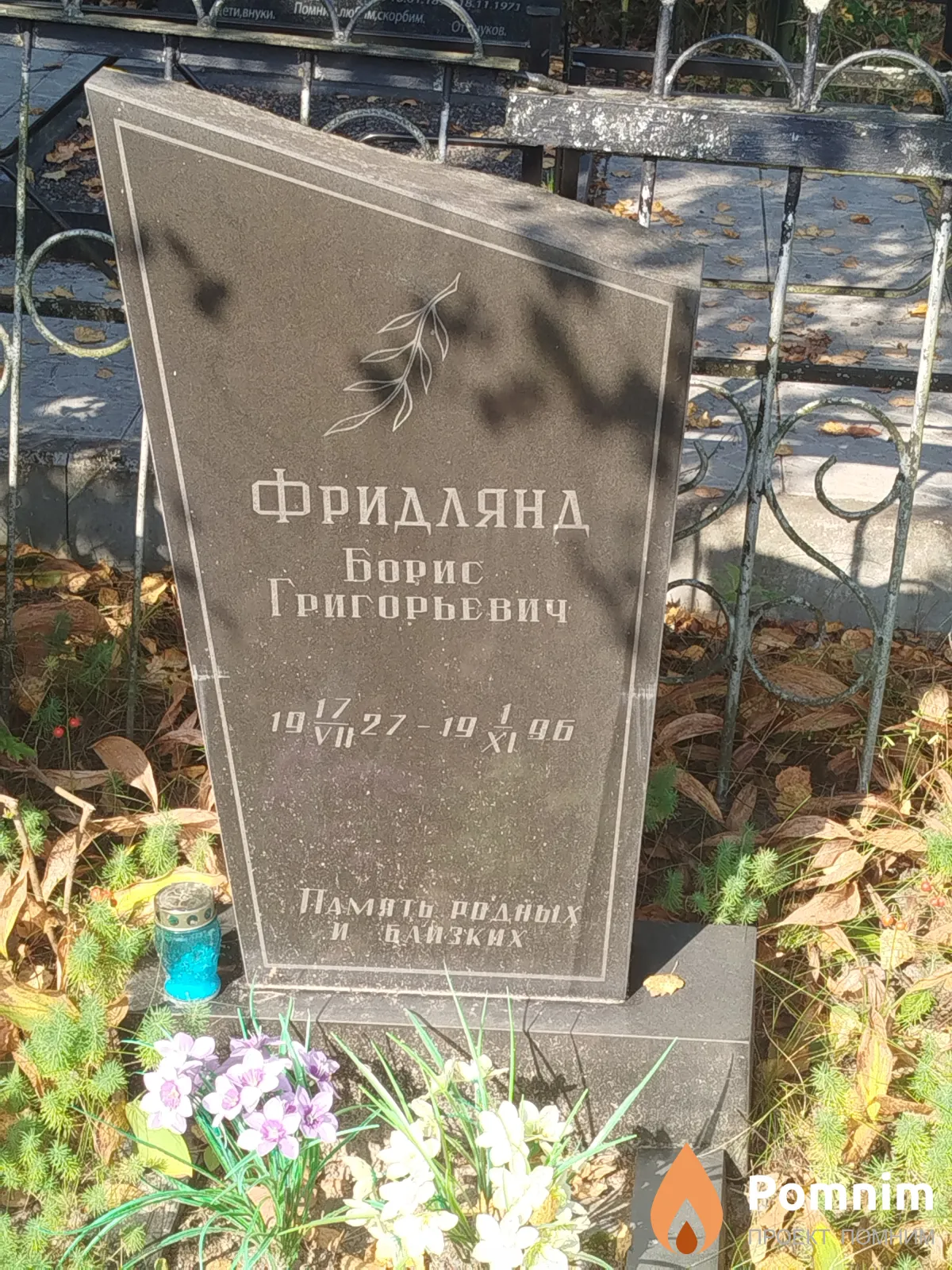 Фридлянд Борис Григорьевич