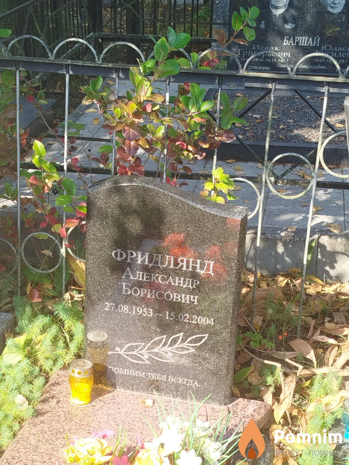 Фридлянд Александр Борисович