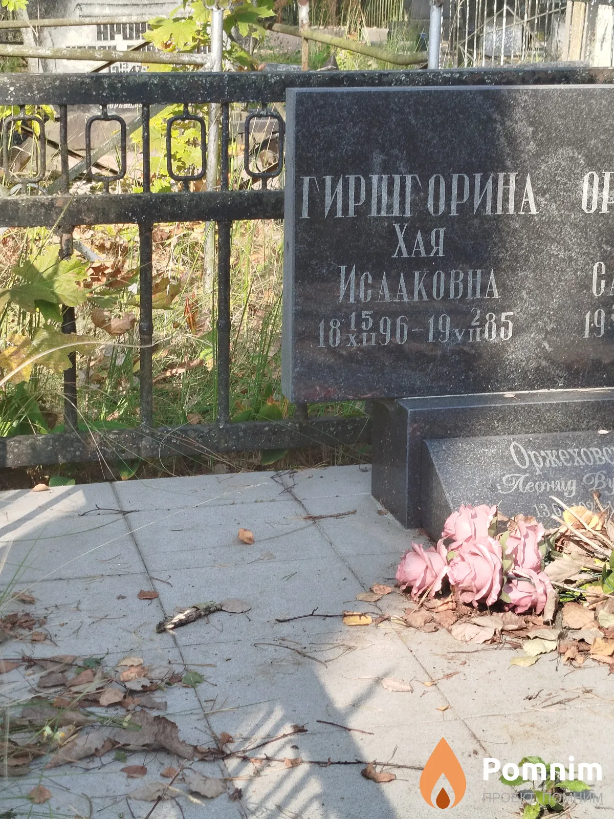 Гиршгорина Хая Исааковна