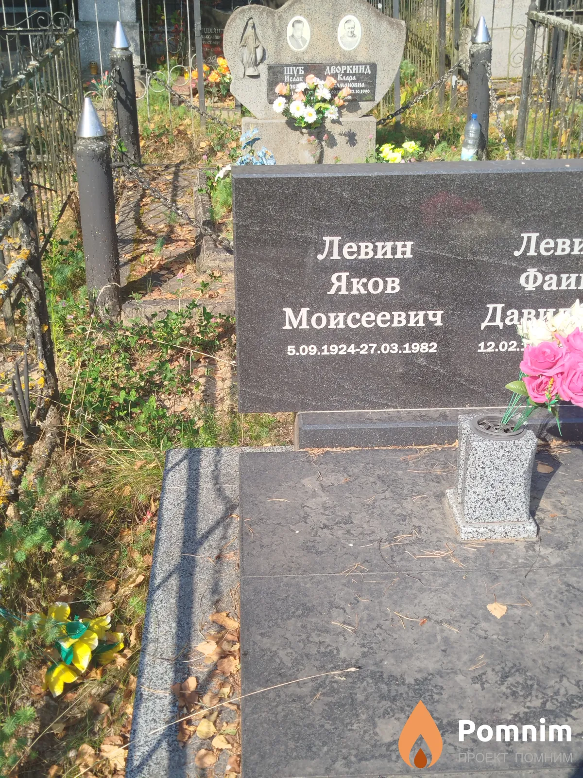 Левин Яков Моисеевич
