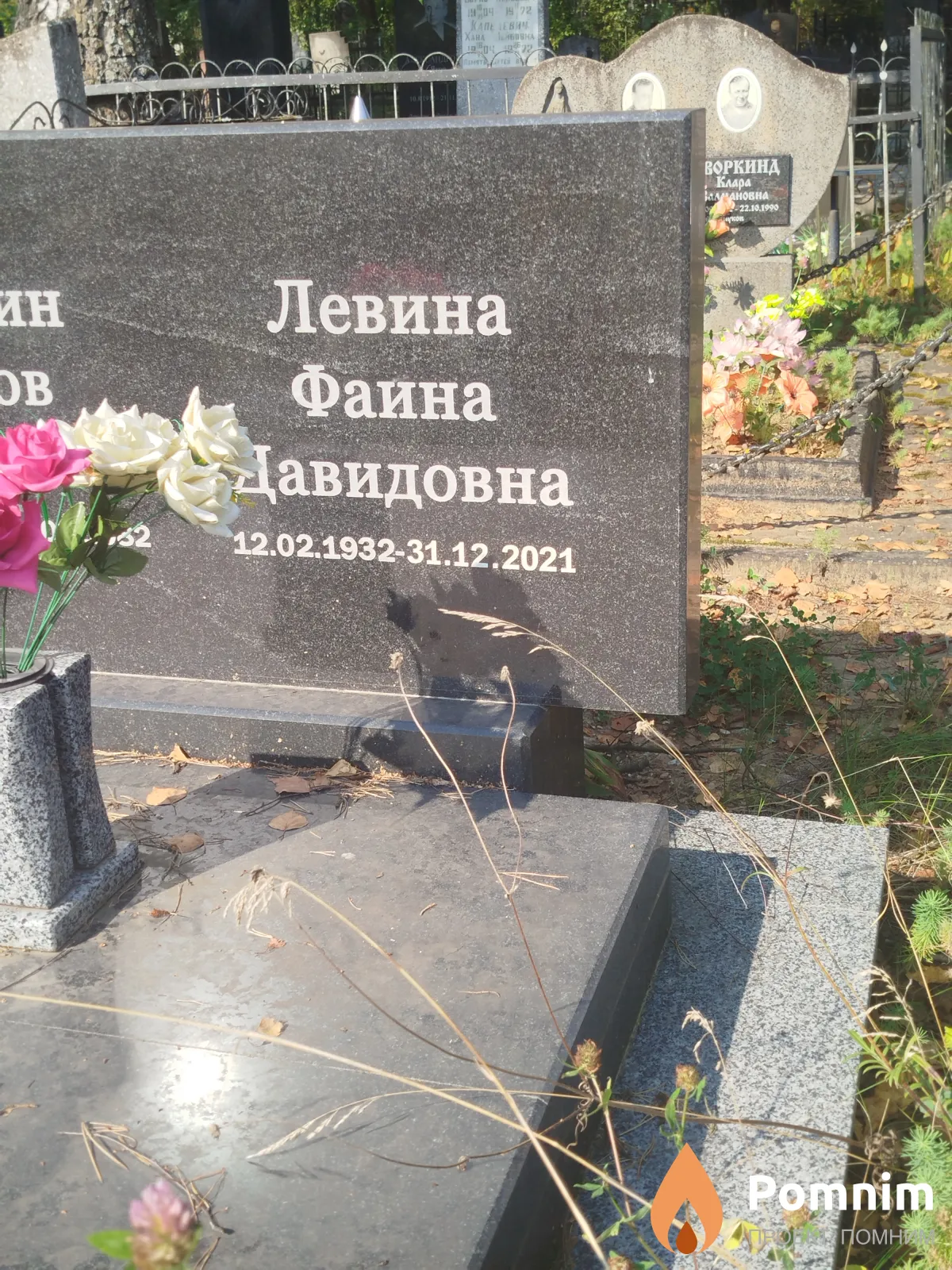 Левина Фаина Давыдовна