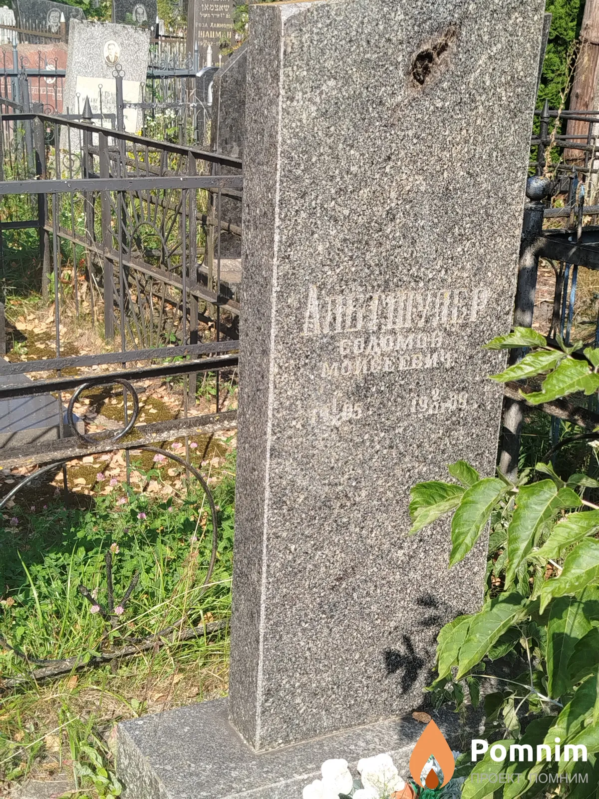Альтшулер Соломон Моисеевич