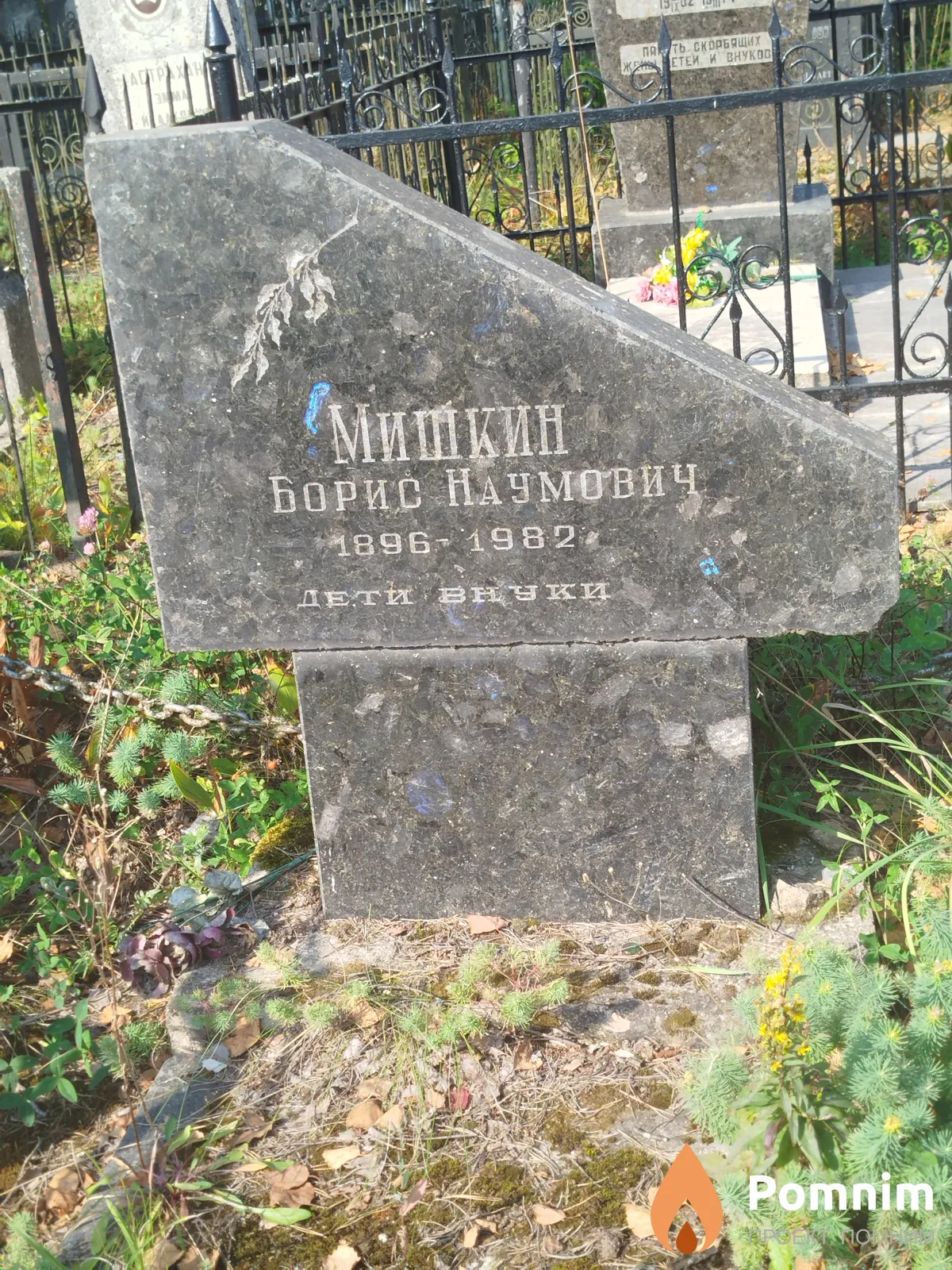 Мишкин Борис Наумович