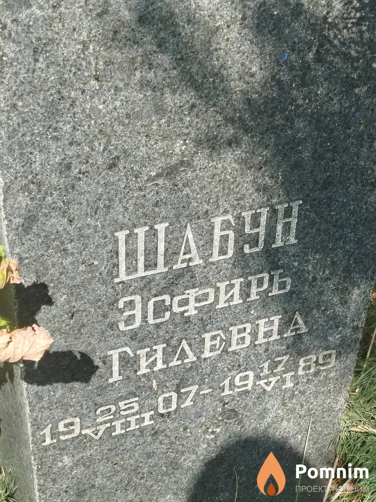 Шабун Эсфирь Гилевна
