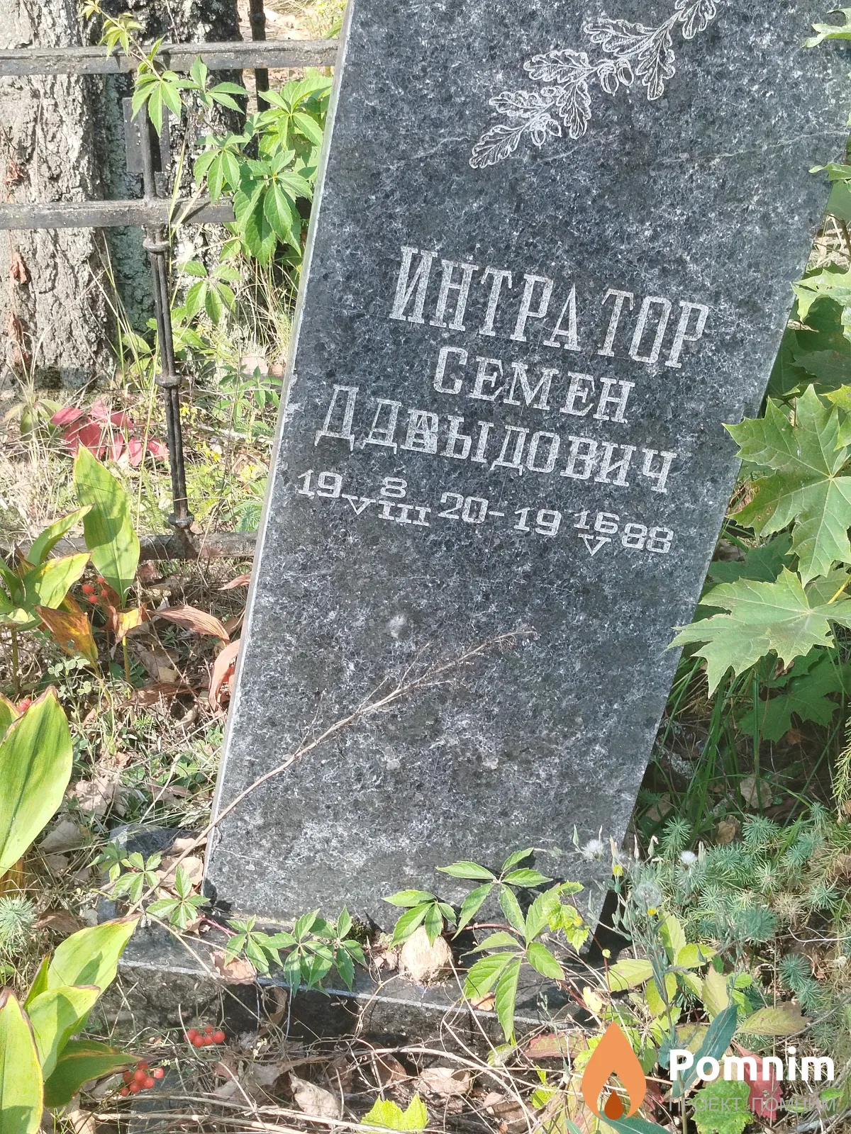 Интратор Семён Давыдович