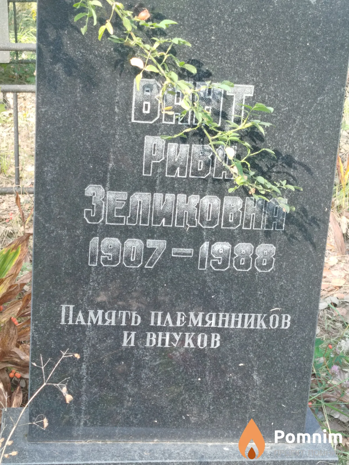 Вант Рива Зеликовна