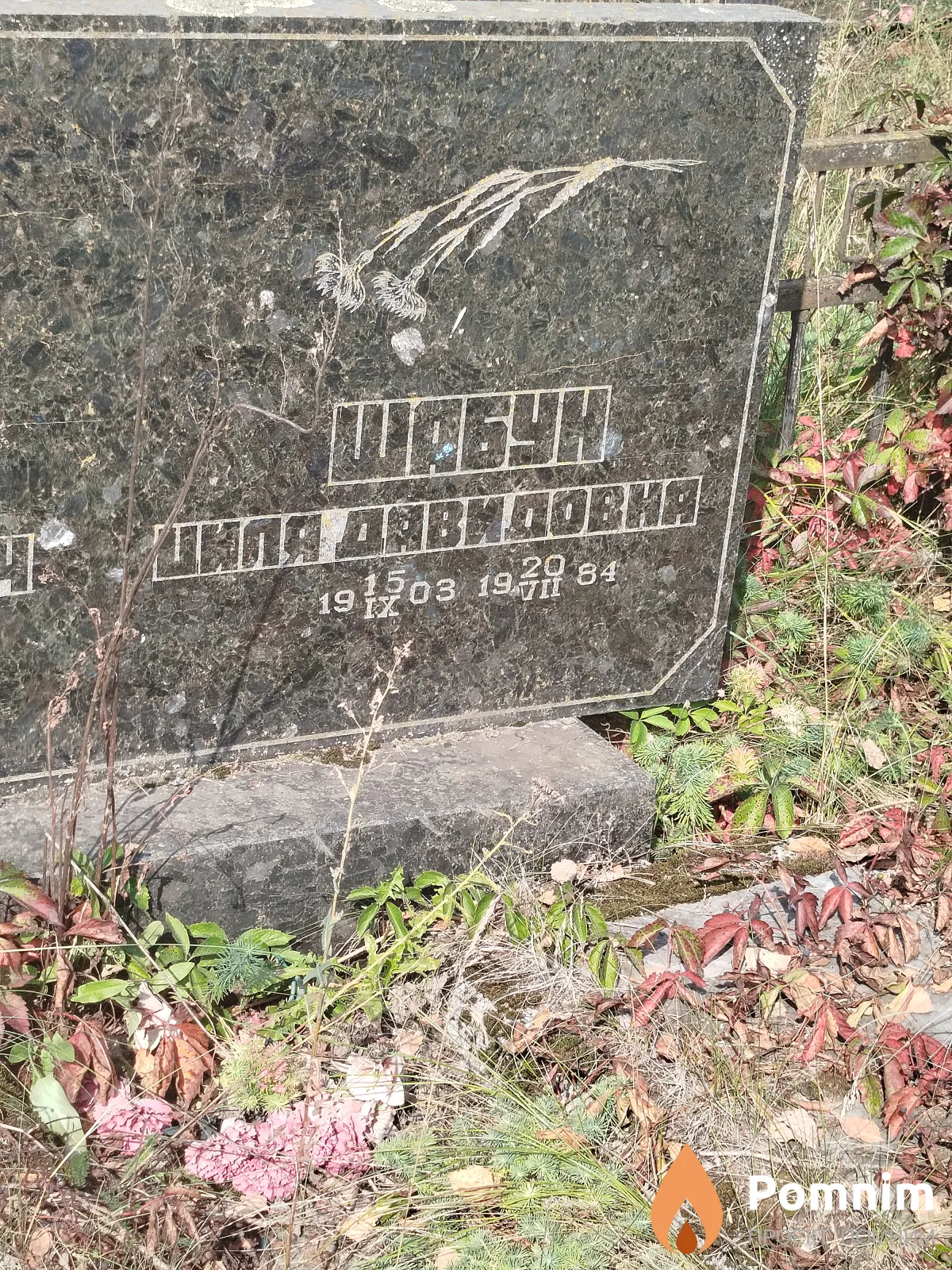 Шабун Циля Давидовна