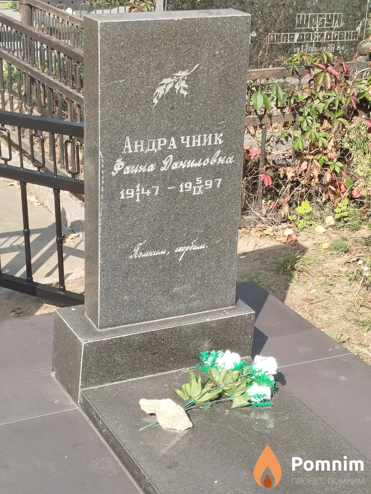 Андрачник Фаина Даниловна